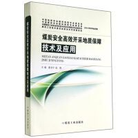 礦業(yè)工程技術(shù)咨詢與技術(shù)服務(wù)的核心價(jià)值與發(fā)展前景